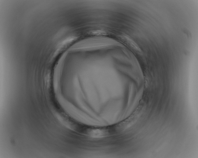 X0000113540163200910091251