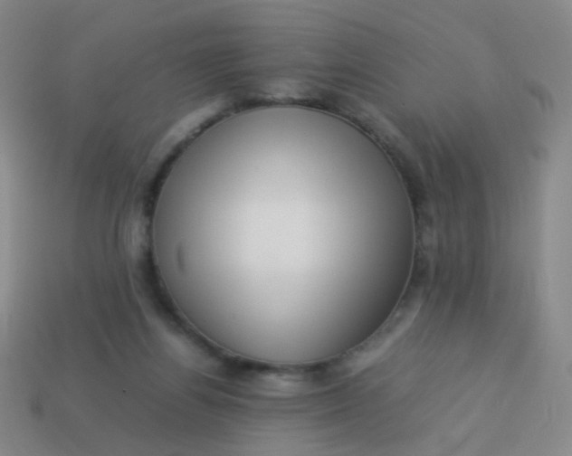 X0000113540164200910091251