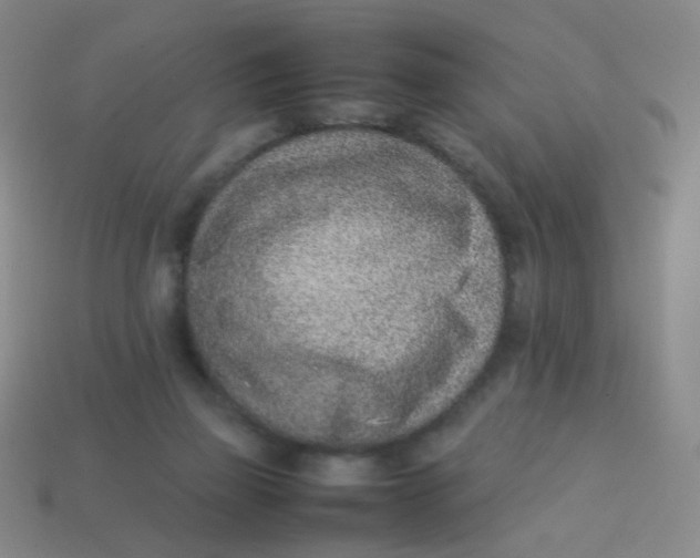 X0000113540165200910091251