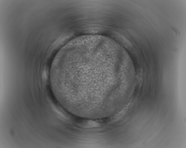 X0000113540166200910091251