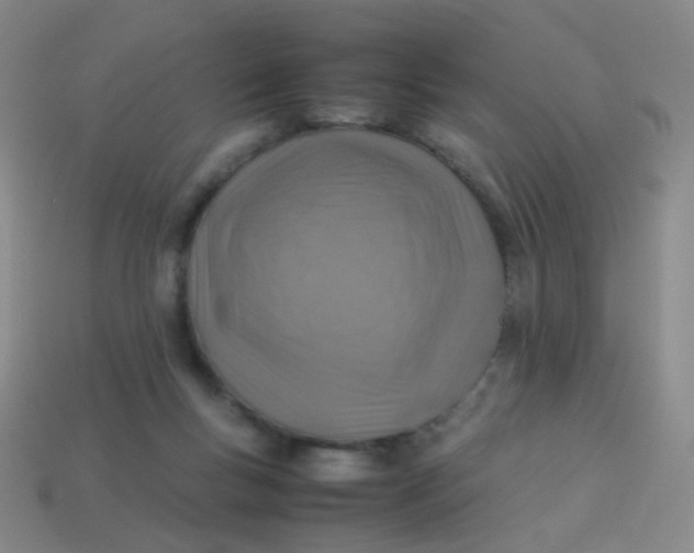 X0000113540167200910091251