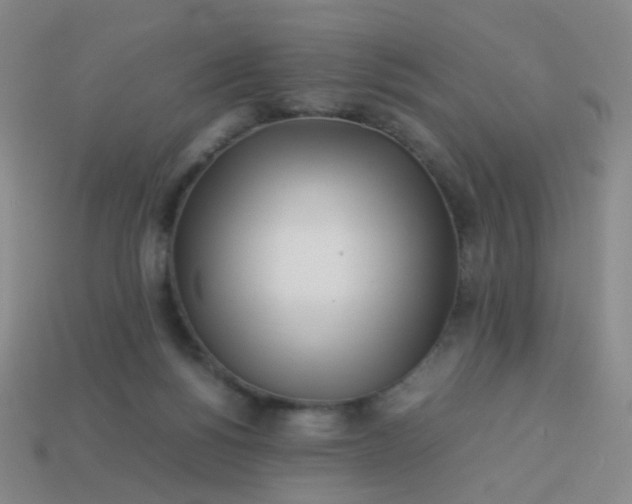 X0000113540168200910091251