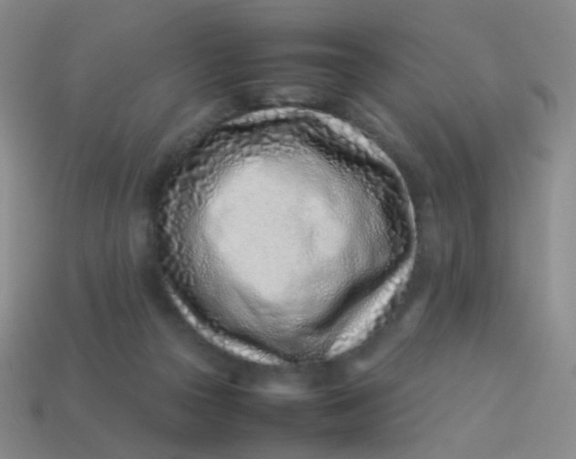X0000113540169200910091251