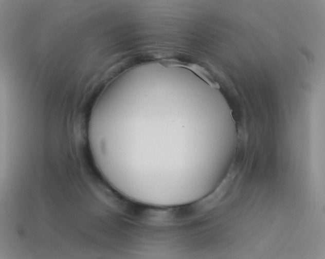 X0000113540170200910091251