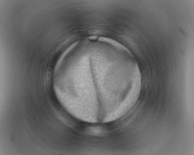X0000113540171200910091251