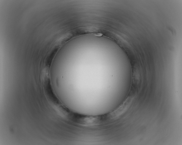 X0000113540172200910091251