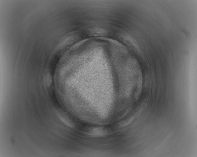 X0000113540173200910091251