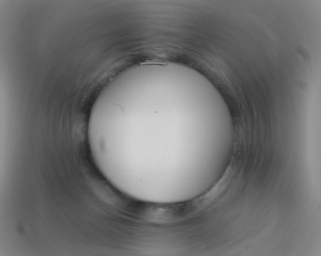 X0000113540174200910091251
