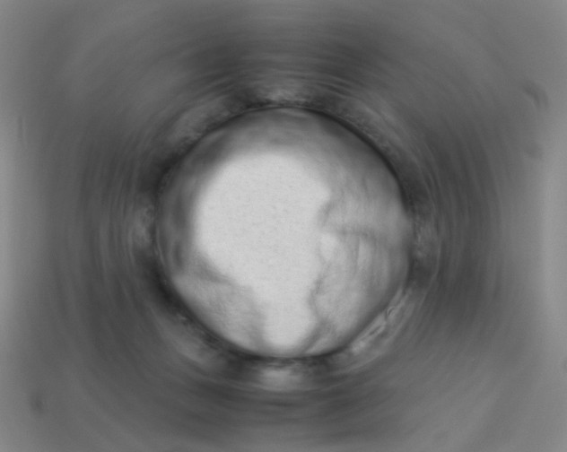 X0000113540175200910091251