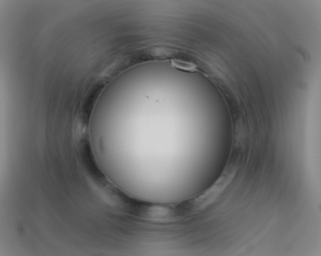 X0000113540176200910091251