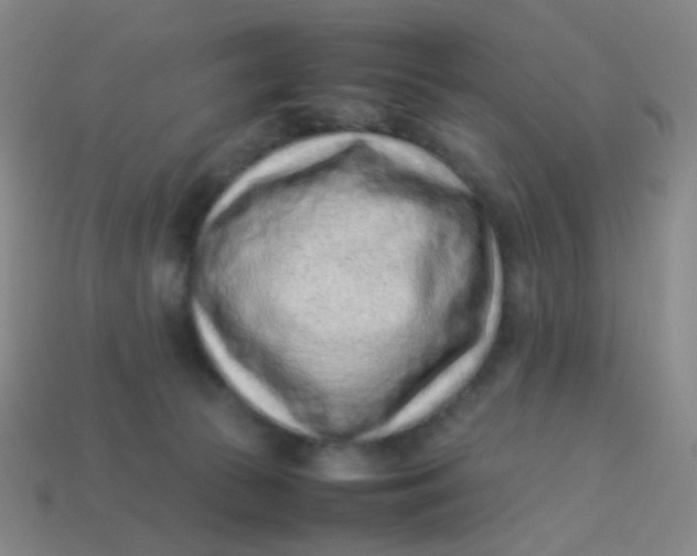 X0000113540177200910091251