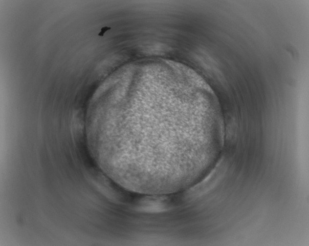 X0000113540179200910091251