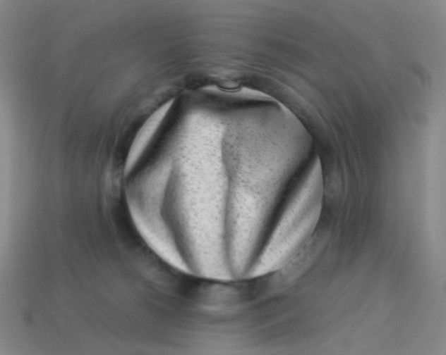 X0000113540180200910091251