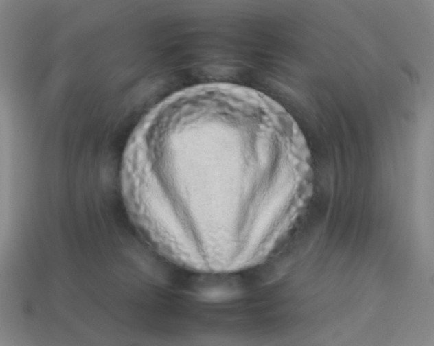 X0000113540181200910091251