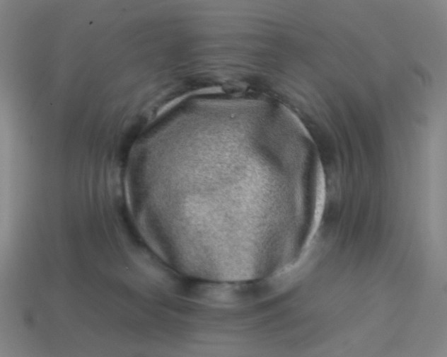 X0000113540182200910091251