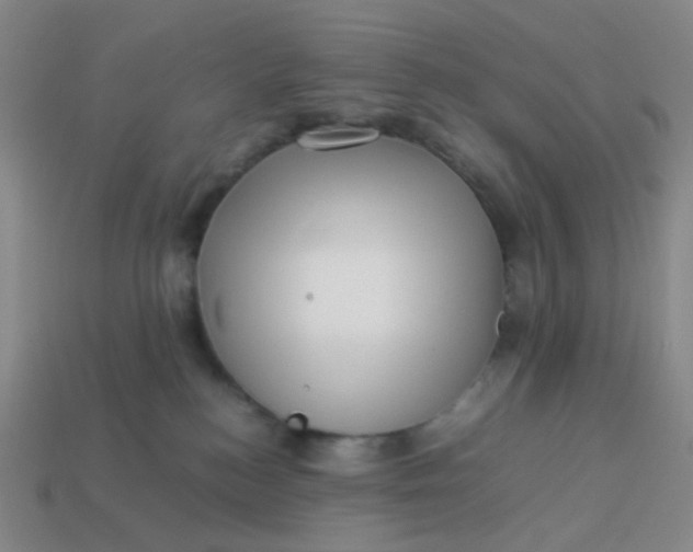 X0000113540184200910091251