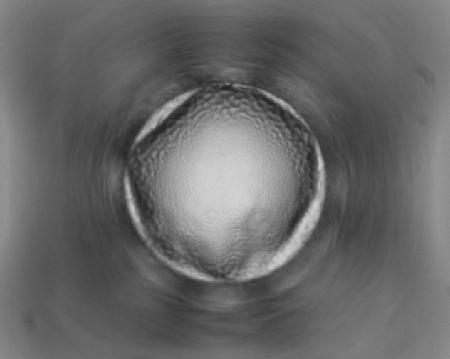 X0000113540185200910091251