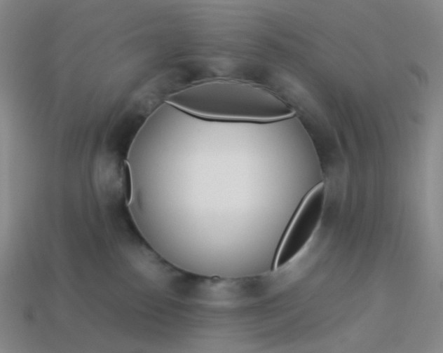 X0000113540186200910091251