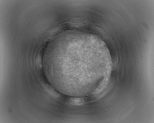 X0000113540187200910091251