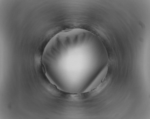 X0000113540188200910091251