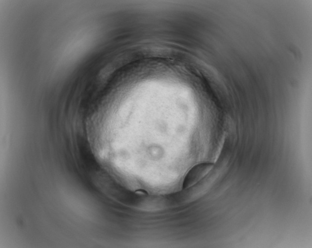 X0000113540189200910091251