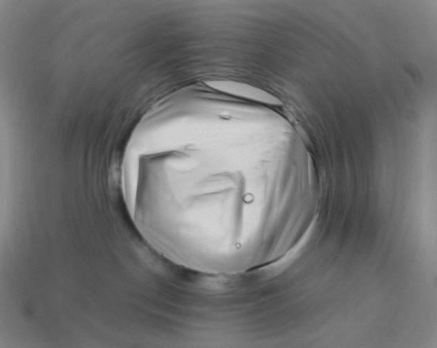 X0000113540190200910091251