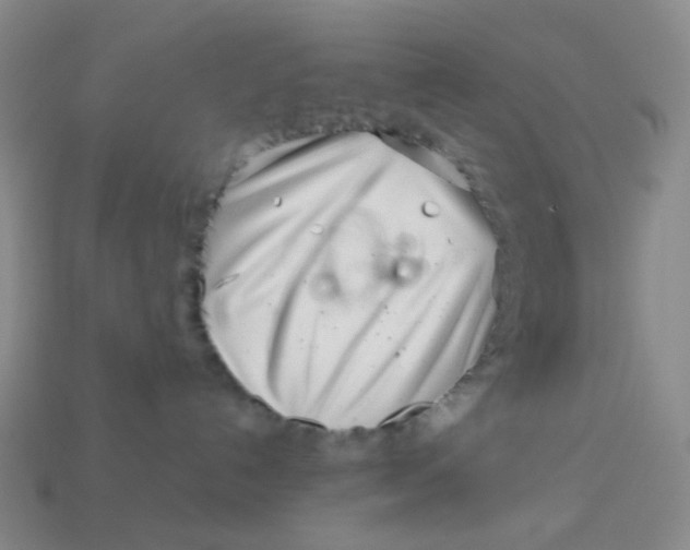 X0000113540192200910091251