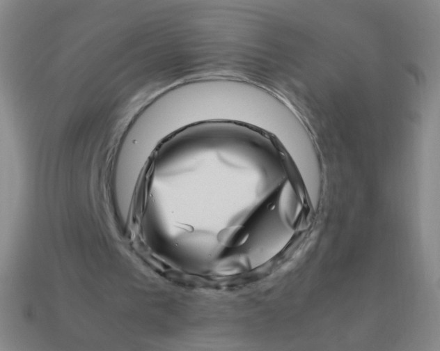 X0000113540193200910091250