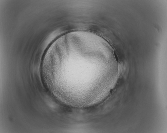 X0000113540195200910091250
