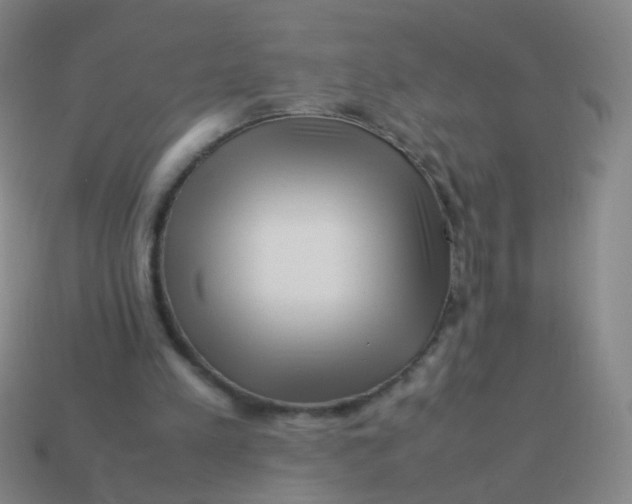 X0000113540197200910091250