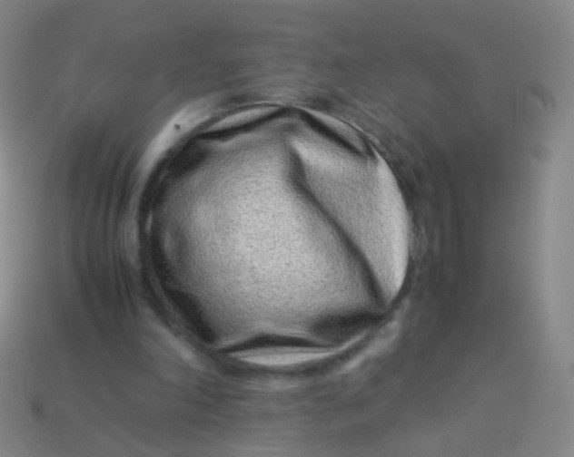 X0000113540198200910091250