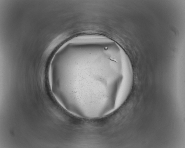 X0000113540199200910091250