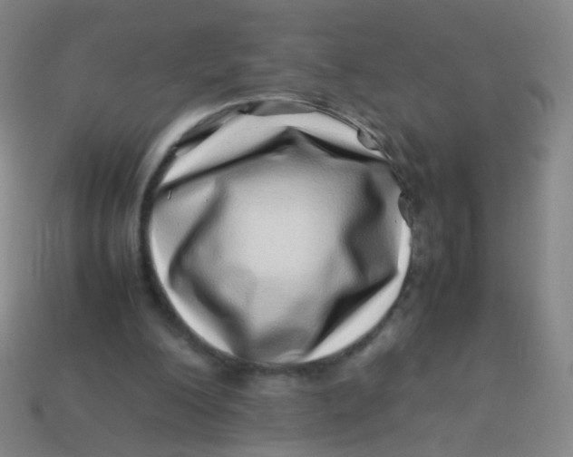 X0000113540200200910091250