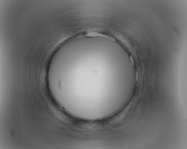 X0000113540201200910091250