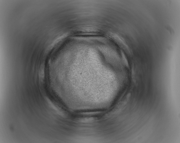 X0000113540202200910091250