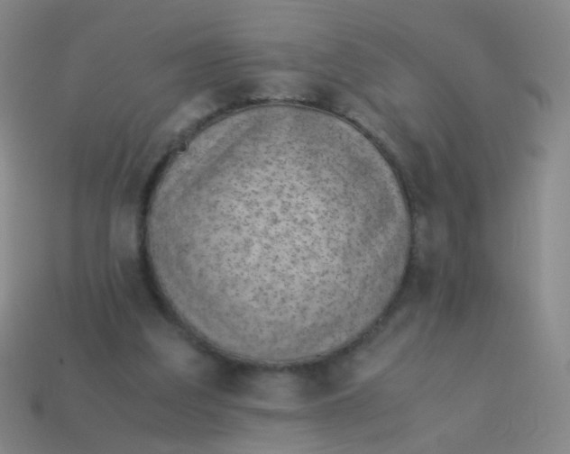 X0000113540203200910091250