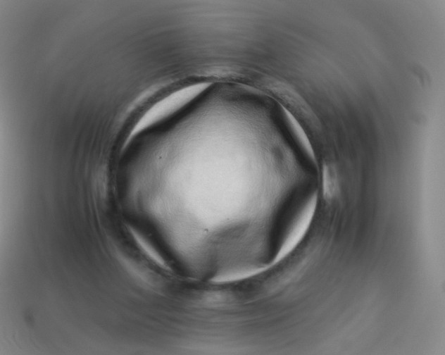 X0000113540204200910091250