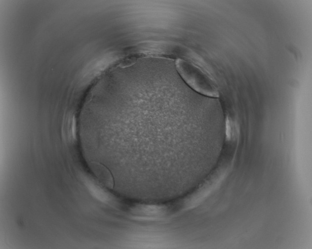X0000113540205200910091250