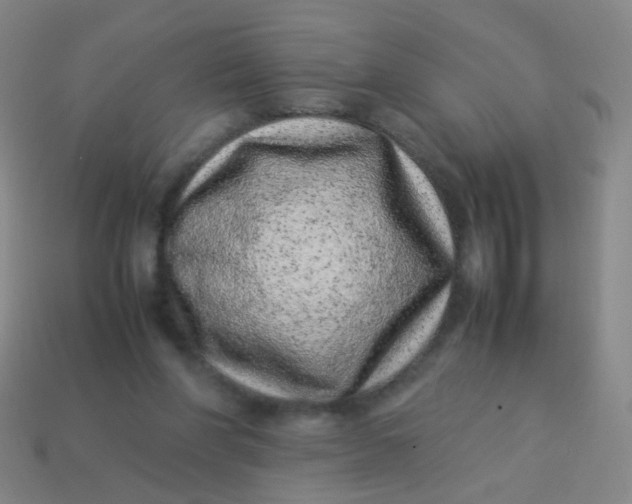 X0000113540206200910091250