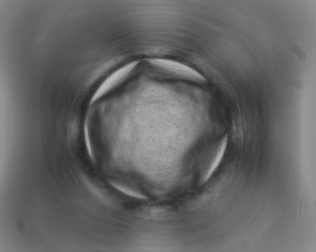 X0000113540208200910091250