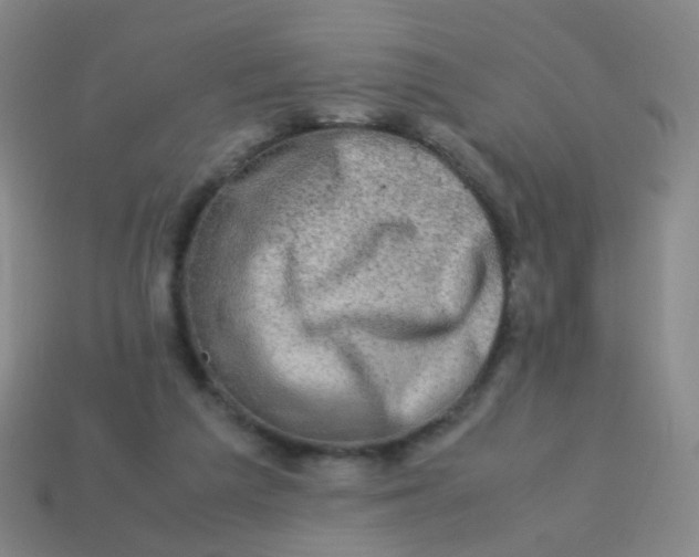 X0000113540209200910091250