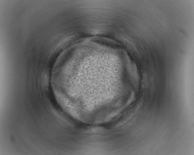X0000113540210200910091250