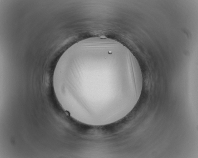 X0000113540211200910091250
