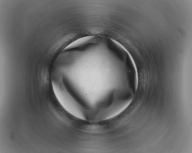 X0000113540212200910091250