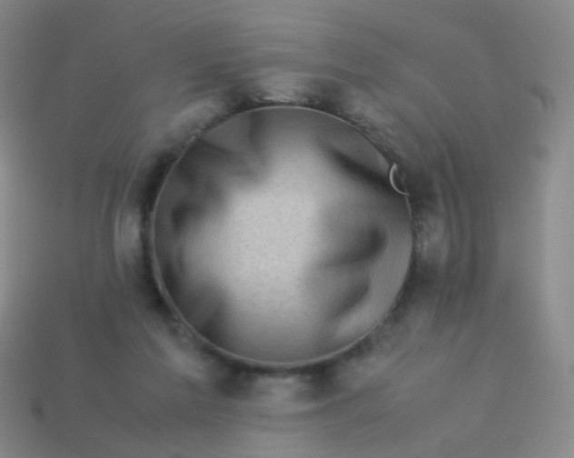 X0000113540213200910091250