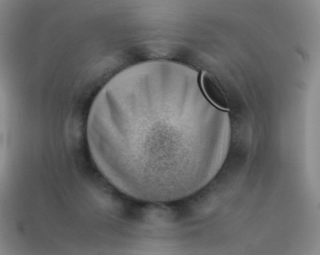 X0000113540215200910091250