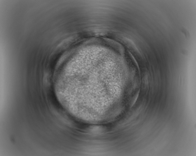 X0000113540218200910091250