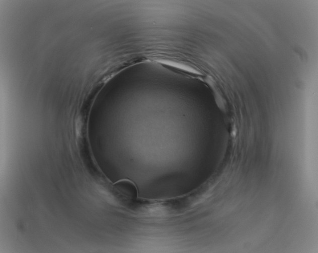 X0000113540219200910091250
