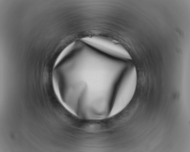 X0000113540220200910091250