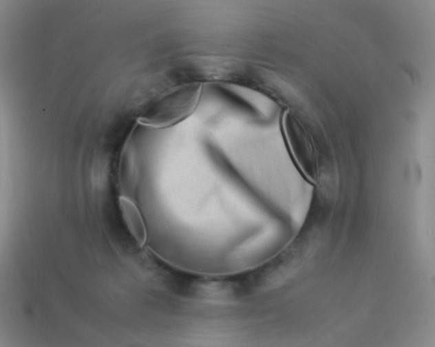 X0000113540221200910091250
